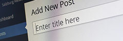 Content Management courses